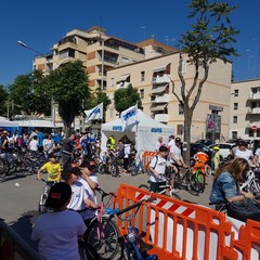 “Bimbimbici 2017”
