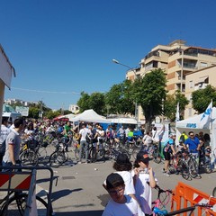 “Bimbimbici 2017”