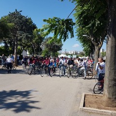 “Bimbimbici 2017”