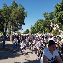 “Bimbimbici 2017”