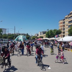“Bimbimbici 2017”