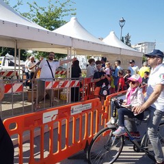 “Bimbimbici 2017”