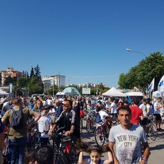 “Bimbimbici 2017”
