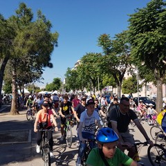“Bimbimbici 2017”
