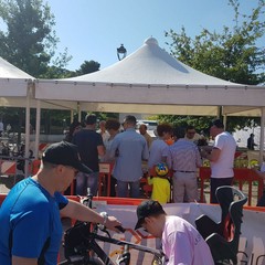“Bimbimbici 2017”