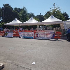 “Bimbimbici 2017”