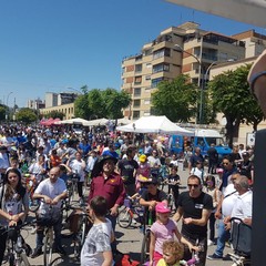 “Bimbimbici 2017”
