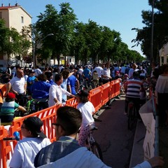 “Bimbimbici 2017”