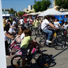 “Bimbimbici 2017”