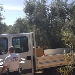autocarri rubati a Barletta