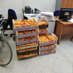 frutta e verdura sequestrata