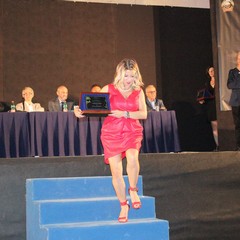 Premio “Salento Evento of Contemporary Art 2017” alla dirigente Bruno