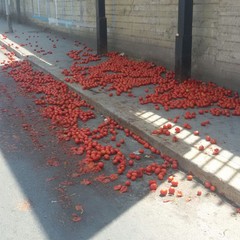 pomodori sversati su viale Dalmazia