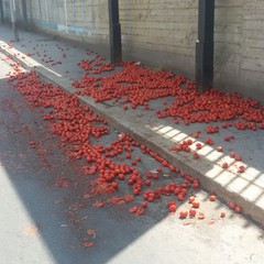 pomodori sversati su viale Dalmazia
