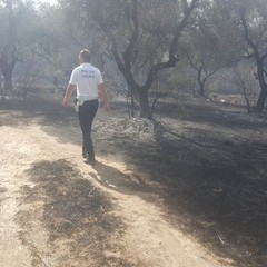 incendio e intervento della Polizia Municipale