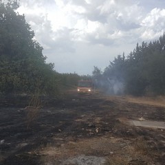 incendio e intervento della Polizia Municipale