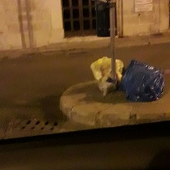 rifiuti per strada