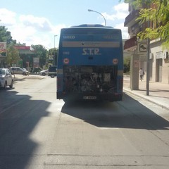 autobus della STP