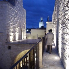 Cuore della Puglia: alla riscoperta delle bellezze di Andria e Cellamare