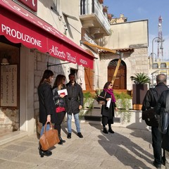 Cuore della Puglia: alla riscoperta delle bellezze di Andria e Cellamare