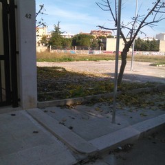 via Cosimo Di Ceglie