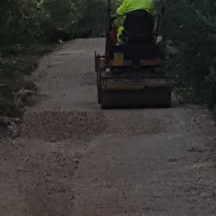 Lavori di sistemazione delle strade comunali di campagna