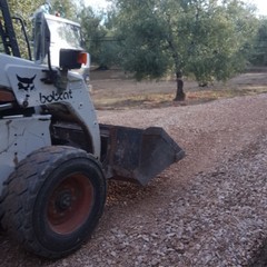 Lavori di sistemazione delle strade comunali di campagna