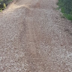 Lavori di sistemazione delle strade comunali di campagna