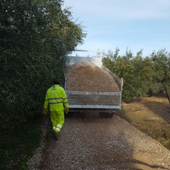 Lavori di sistemazione delle strade comunali di campagna