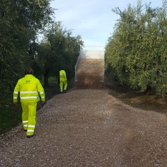 Lavori di sistemazione delle strade comunali di campagna