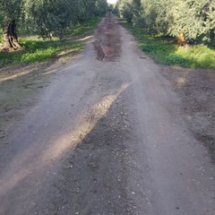 Lavori di sistemazione delle strade comunali di campagna