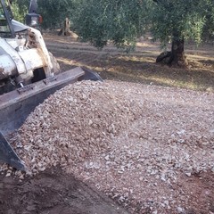 Lavori di sistemazione delle strade comunali di campagna