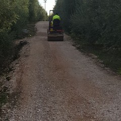 Lavori di sistemazione delle strade comunali di campagna