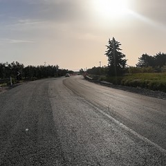 Riapre la provinciale Andria Bisceglie