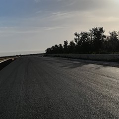 Riapre la provinciale Andria Bisceglie