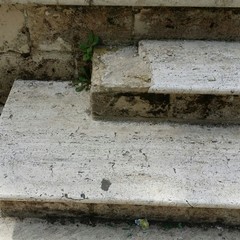 villa comunale, degrado ed incuria