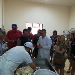 La Burrata I.G.P. di Andria conquista anche l'America