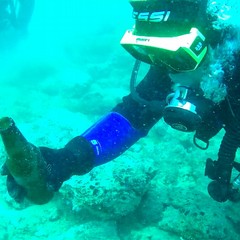 Iniziativa a Polignano a Mare del Centro Subacqueo di Andria