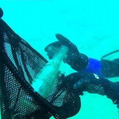 Iniziativa a Polignano a Mare del Centro Subacqueo di Andria