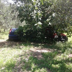 auto rubate a Molfetta ritrovate nelle campagne vicino al Santuario della Madonna dei Miracoli