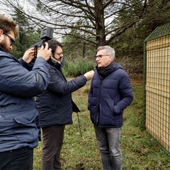 Parco Nazionale dell’Alta Murgia e ARIF insieme per la cattura dei cinghiali