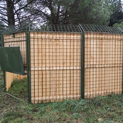 Parco Nazionale dell’Alta Murgia e ARIF insieme per la cattura dei cinghiali