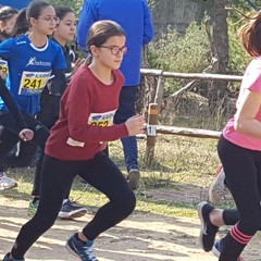 Corsa Campestre: la scuola "P.N. Vaccina" supera la fase regionale