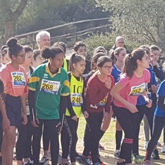 Corsa Campestre: la scuola "P.N. Vaccina" supera la fase regionale