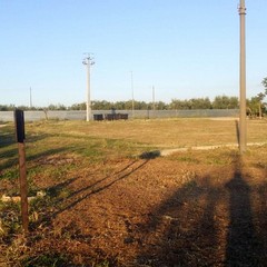 Aree verdi ancora affidate  ai volontari della Borgata Troianelli