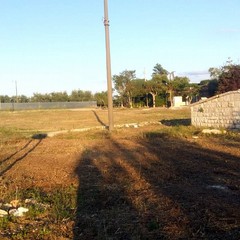 Aree verdi ancora affidate  ai volontari della Borgata Troianelli