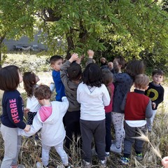 E’ arrivata la primavera alla scuola dell’infanzia Suore Piccole Operaie del Sacro Cuore di Andria