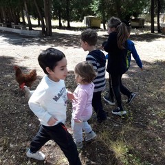 E’ arrivata la primavera alla scuola dell’infanzia Suore Piccole Operaie del Sacro Cuore di Andria