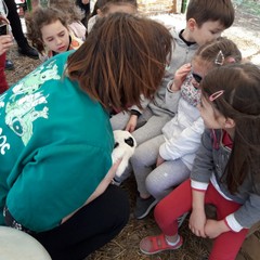 E’ arrivata la primavera alla scuola dell’infanzia Suore Piccole Operaie del Sacro Cuore di Andria