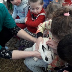 E’ arrivata la primavera alla scuola dell’infanzia Suore Piccole Operaie del Sacro Cuore di Andria
